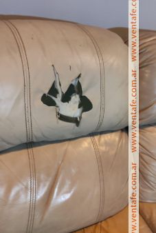 Aliado Reparador ciervo Sofa Divanlito USADO