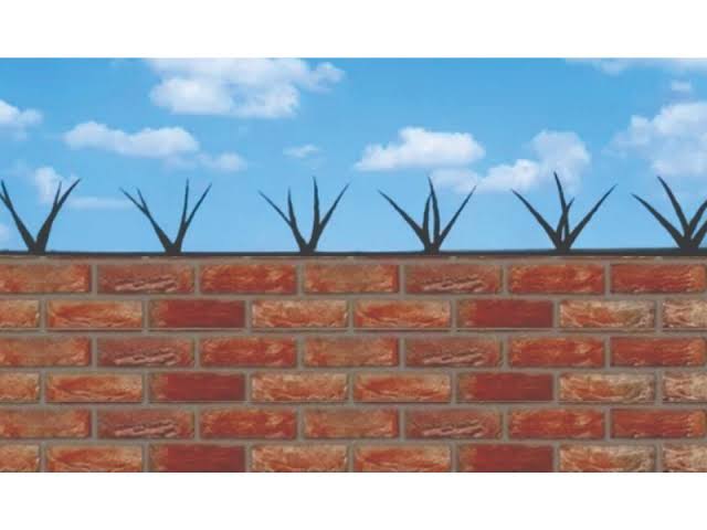 Seguridad para el hogar: qué revelan estos avisos repetidos