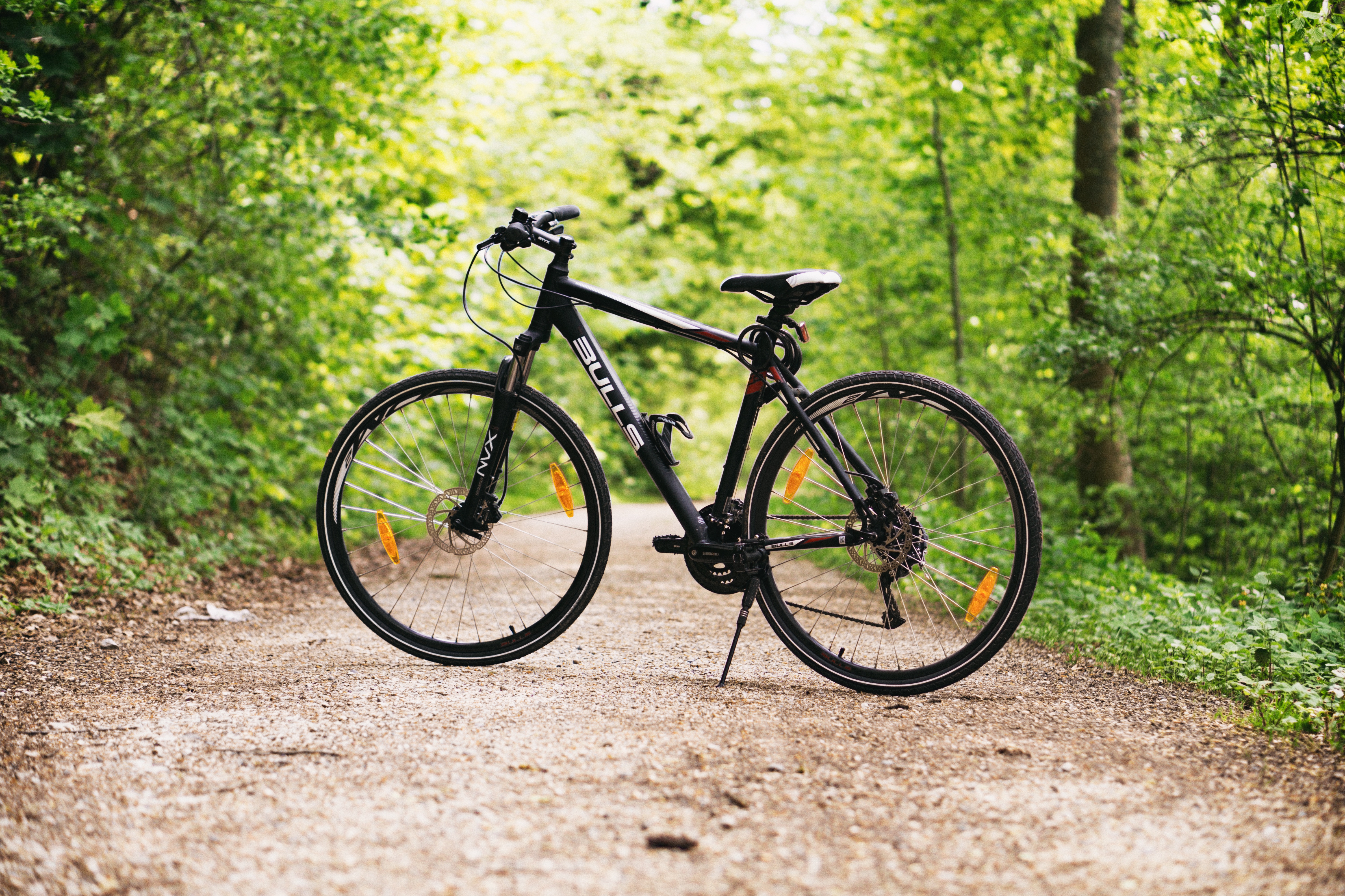 Deportes en oferta: bicis destacadas y equipos de entrenamiento