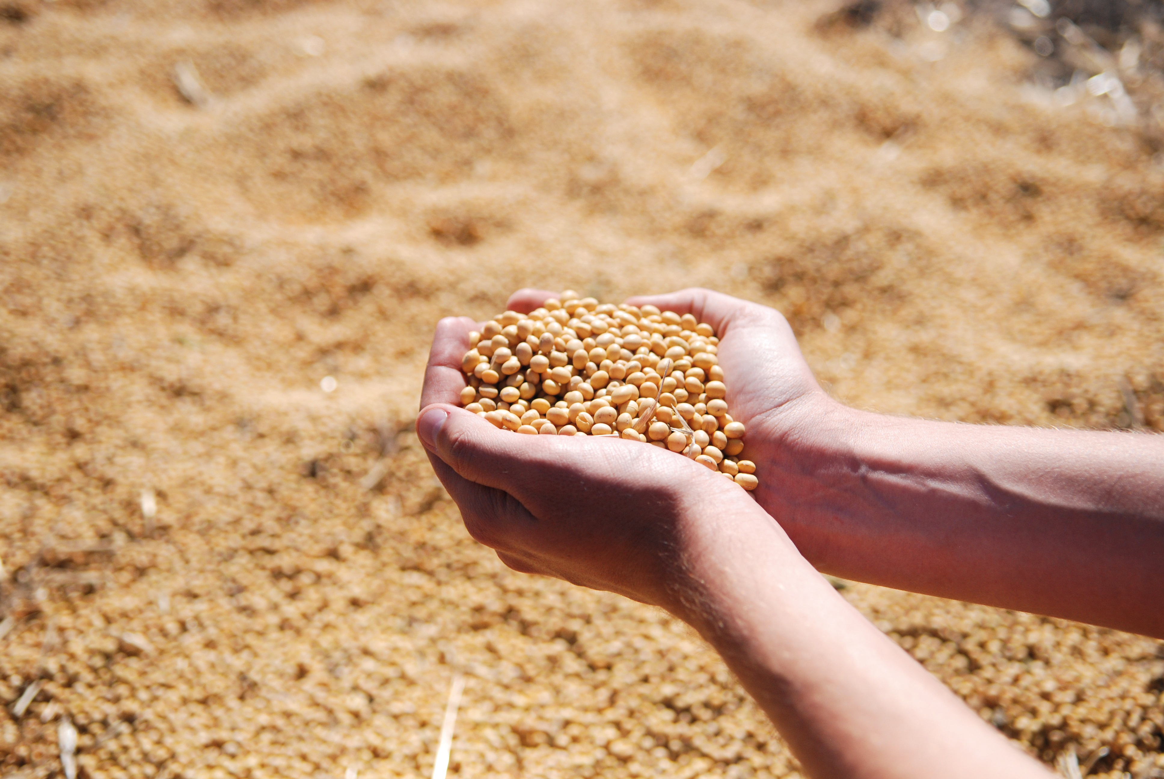 Oportunidades agro: energía segura, traslado y equipos listos para trabajar