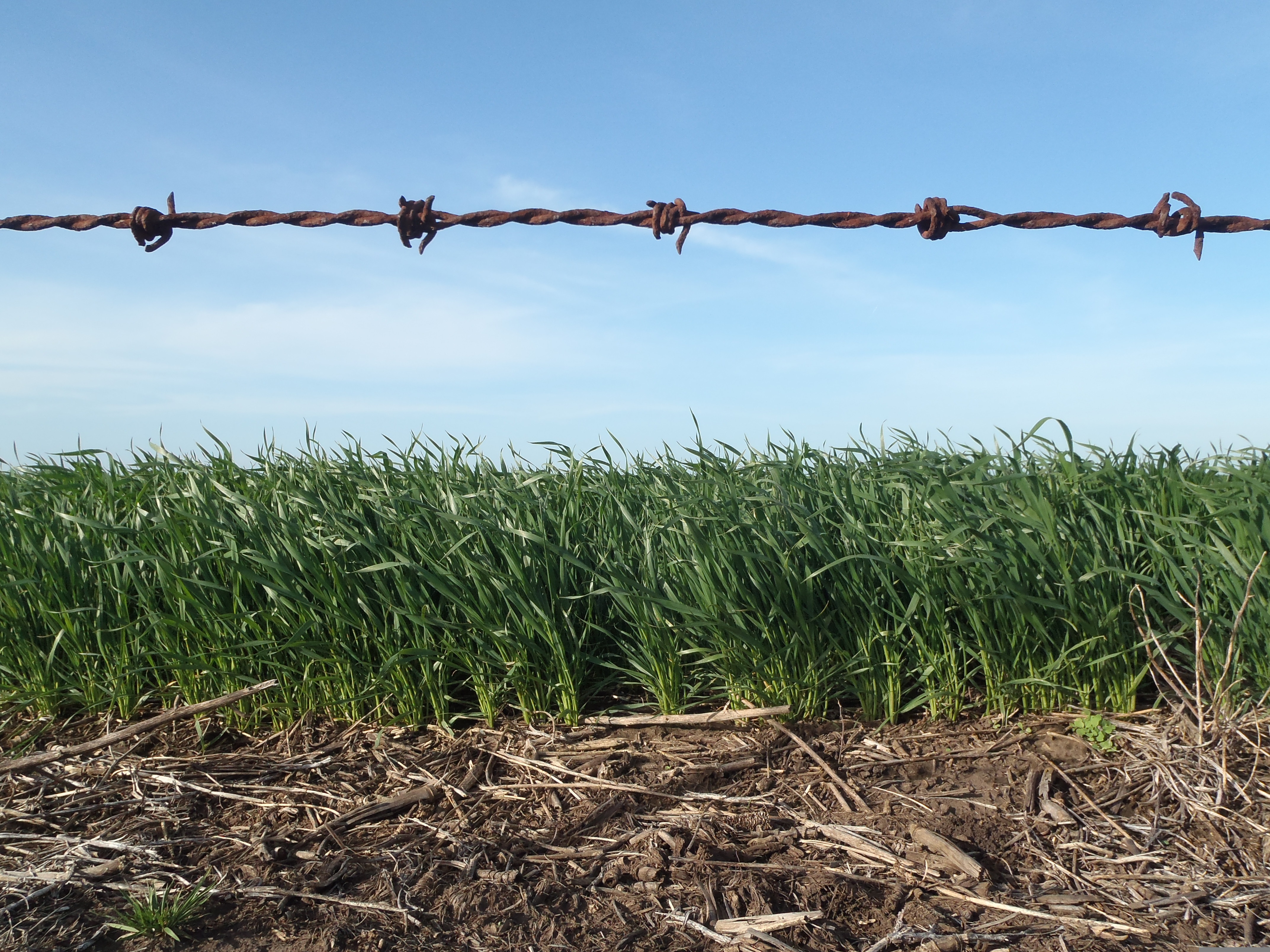 Tendencias clave en avisos agropecuarios: energía, logística y maquinaria